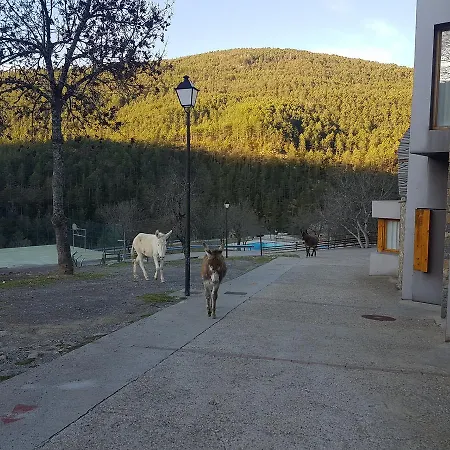 Lejlighed De Isin